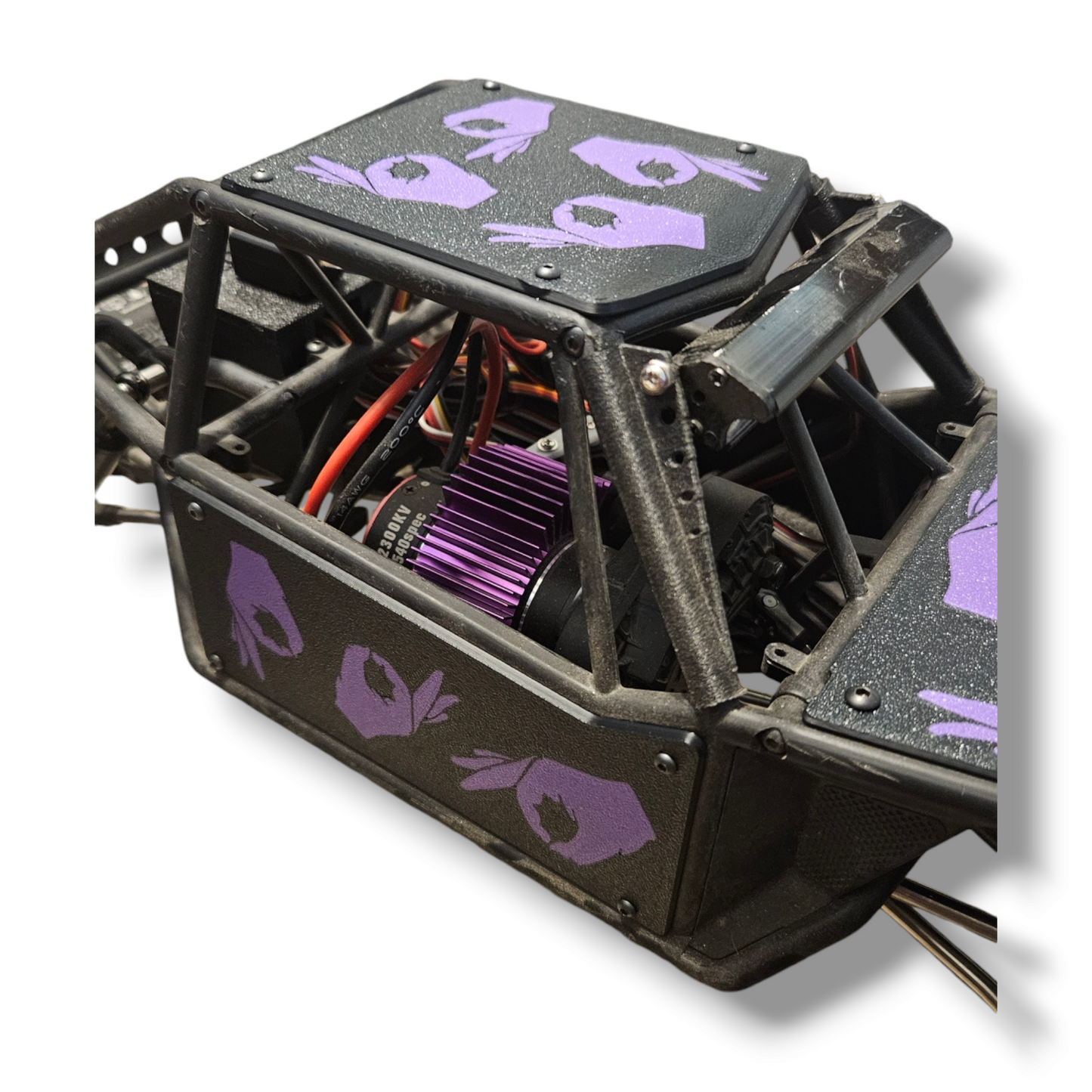 Axial Capra RCCS Meme Body Panels
